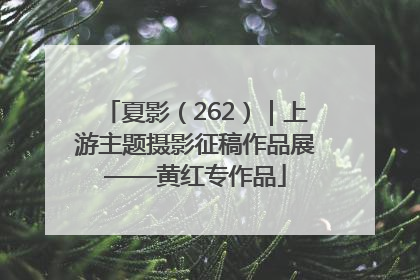 夏影（262）｜上游主题摄影征稿作品展——黄红专作品