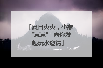 夏日炎炎，小象“崽崽” 向你发起玩水邀请