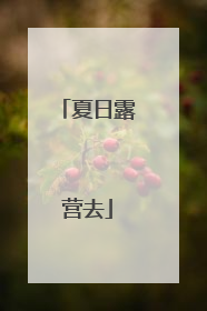 夏日露营去