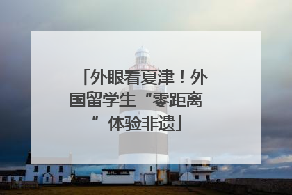 外眼看夏津！外国留学生“零距离”体验非遗