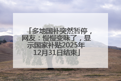 多地国补突然暂停，网友：慢慢变味了，显示国家补贴2025年12月31日结束