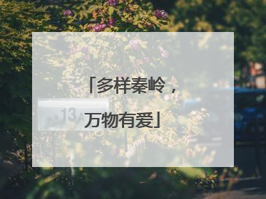 多样秦岭，万物有爱