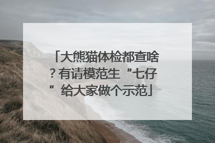 大熊猫体检都查啥？有请模范生“七仔”给大家做个示范