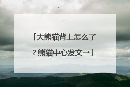 大熊猫背上怎么了？熊猫中心发文→