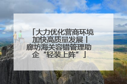 大力优化营商环境 加快高质量发展丨廊坊海关容错管理助企“轻装上阵”