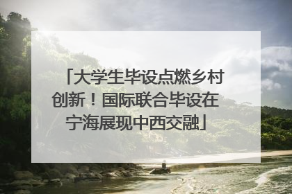 大学生毕设点燃乡村创新！国际联合毕设在宁海展现中西交融