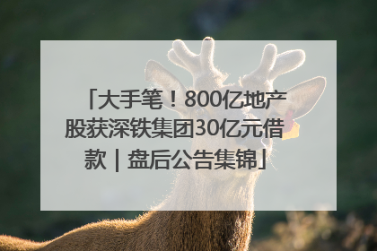 大手笔！800亿地产股获深铁集团30亿元借款｜盘后公告集锦