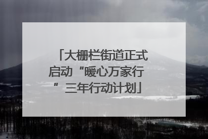 大栅栏街道正式启动“暖心万家行”三年行动计划