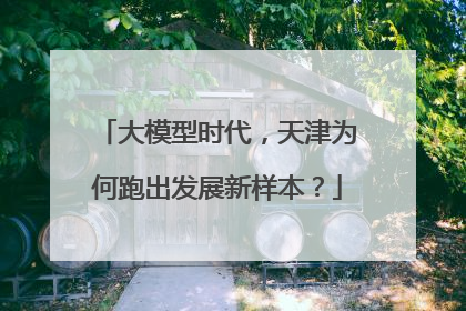 大模型时代，天津为何跑出发展新样本？