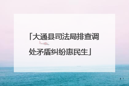 大通县司法局排查调处矛盾纠纷惠民生