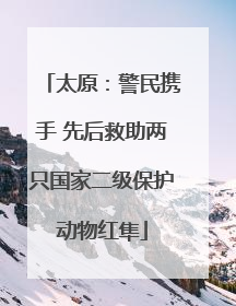 太原：警民携手 先后救助两只国家二级保护动物红隼