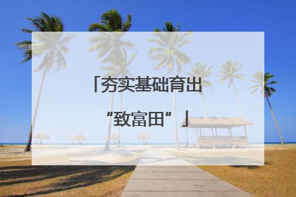 夯实基础育出“致富田”