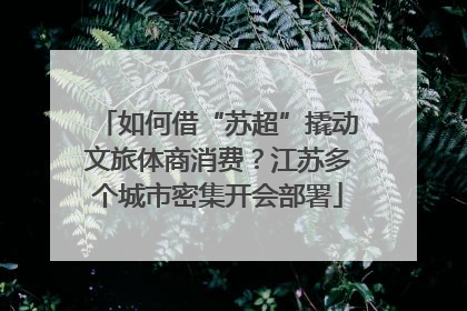 如何借“苏超”撬动文旅体商消费？江苏多个城市密集开会部署