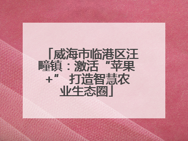 威海市临港区汪疃镇：激活“苹果+” 打造智慧农业生态圈