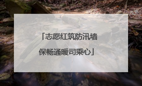 志愿红筑防汛墙 保畅通暖司乘心