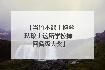 当竹木遇上掐丝珐琅！这所学校捧回省级大奖