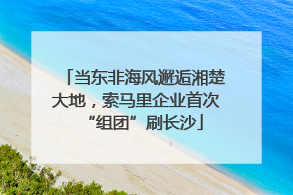 当东非海风邂逅湘楚大地，索马里企业首次“组团”刷长沙