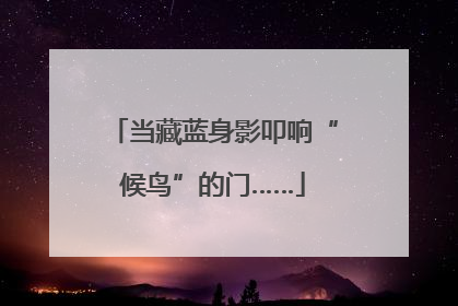 当藏蓝身影叩响“候鸟”的门……