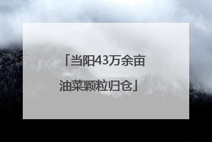 当阳43万余亩油菜颗粒归仓