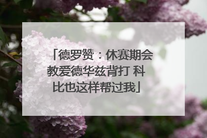 德罗赞：休赛期会教爱德华兹背打 科比也这样帮过我