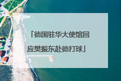 德国驻华大使馆回应樊振东赴德打球