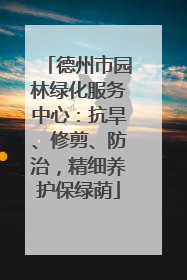 德州市园林绿化服务中心：抗旱、修剪、防治，精细养护保绿荫