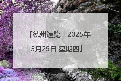 德州速览丨2025年5月29日 星期四