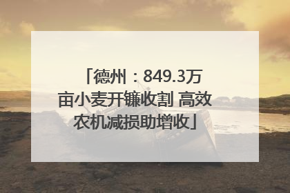 德州：849.3万亩小麦开镰收割 高效农机减损助增收
