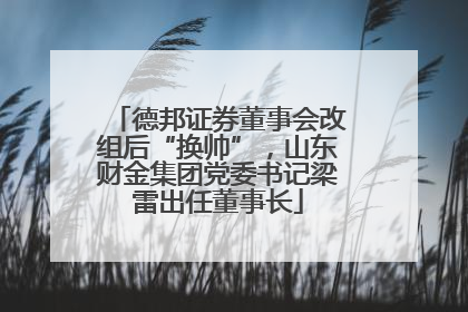 德邦证券董事会改组后“换帅”，山东财金集团党委书记梁雷出任董事长