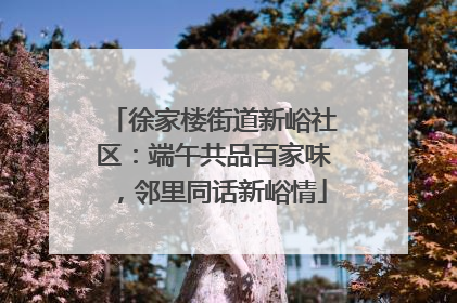 徐家楼街道新峪社区：端午共品百家味，邻里同话新峪情