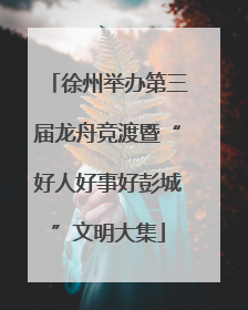 徐州举办第三届龙舟竞渡暨“好人好事好彭城”文明大集