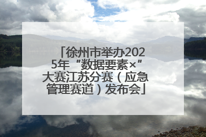 徐州市举办2025年“数据要素×”大赛江苏分赛（应急管理赛道）发布会