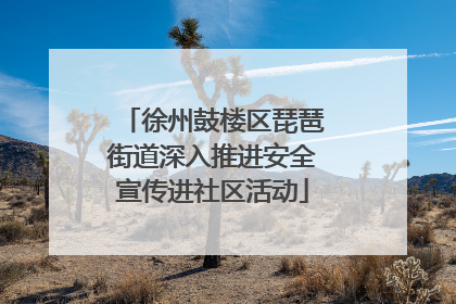 徐州鼓楼区琵琶街道深入推进安全宣传进社区活动