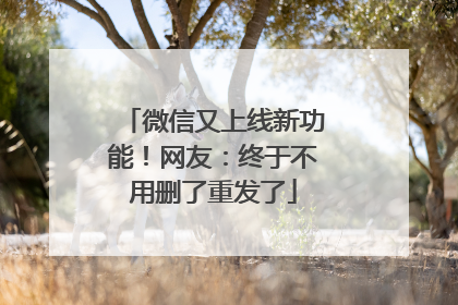 微信又上线新功能！网友：终于不用删了重发了