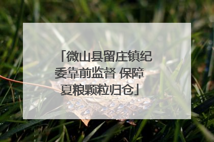 微山县留庄镇纪委靠前监督 保障夏粮颗粒归仓