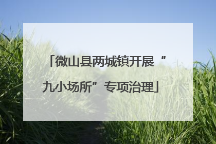 微山县两城镇开展“九小场所”专项治理