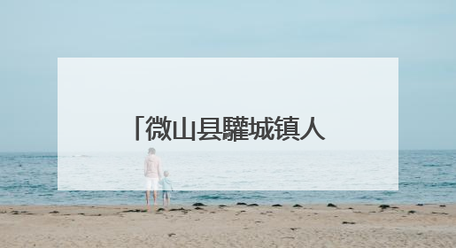 微山县驩城镇人大代表履职出实招精准服务促就业