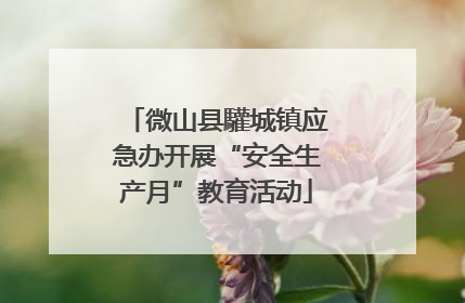 微山县驩城镇应急办开展“安全生产月”教育活动