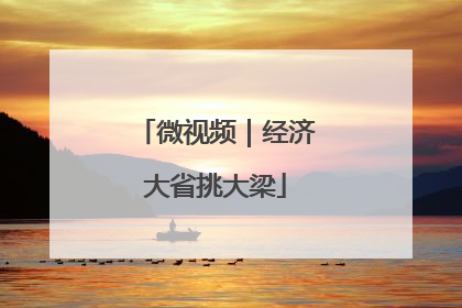 微视频｜经济大省挑大梁