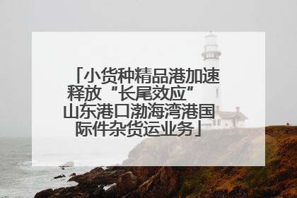 小货种精品港加速释放“长尾效应” 山东港口渤海湾港国际件杂货运业务