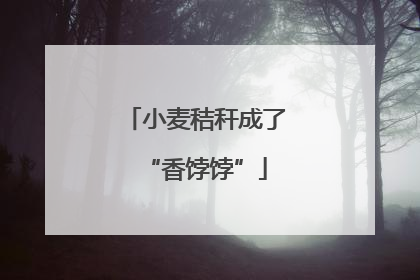 小麦秸秆成了“香饽饽”