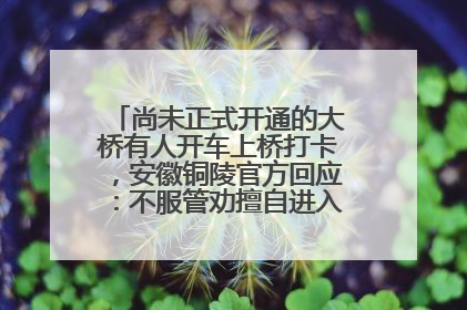 尚未正式开通的大桥有人开车上桥打卡，安徽铜陵官方回应：不服管劝擅自进入，已采取措施