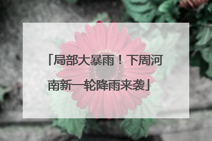局部大暴雨！下周河南新一轮降雨来袭