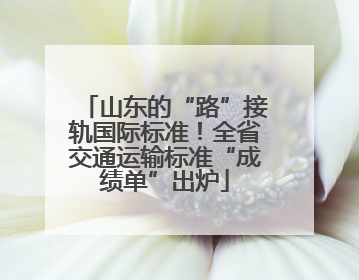 山东的“路”接轨国际标准！全省交通运输标准“成绩单”出炉