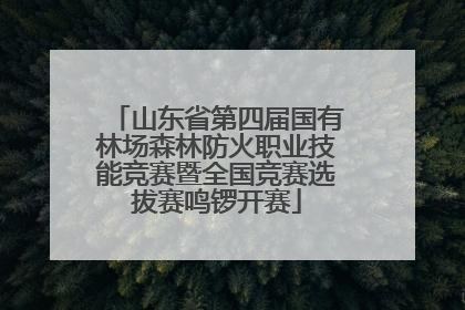 山东省第四届国有林场森林防火职业技能竞赛暨全国竞赛选拔赛鸣锣开赛
