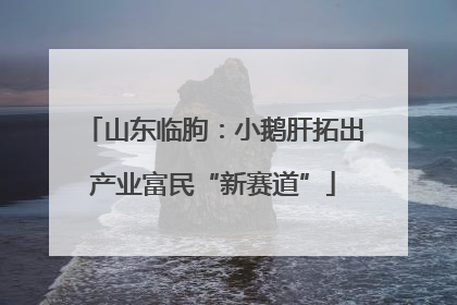 山东临朐：小鹅肝拓出产业富民“新赛道”