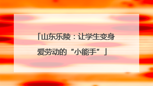 山东乐陵：让学生变身爱劳动的“小能手”