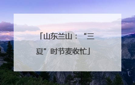 山东兰山：“三夏”时节麦收忙
