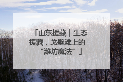 山东援藏｜生态援藏，戈壁滩上的“潍坊魔法”