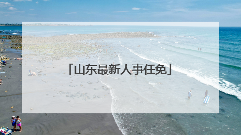山东最新人事任免